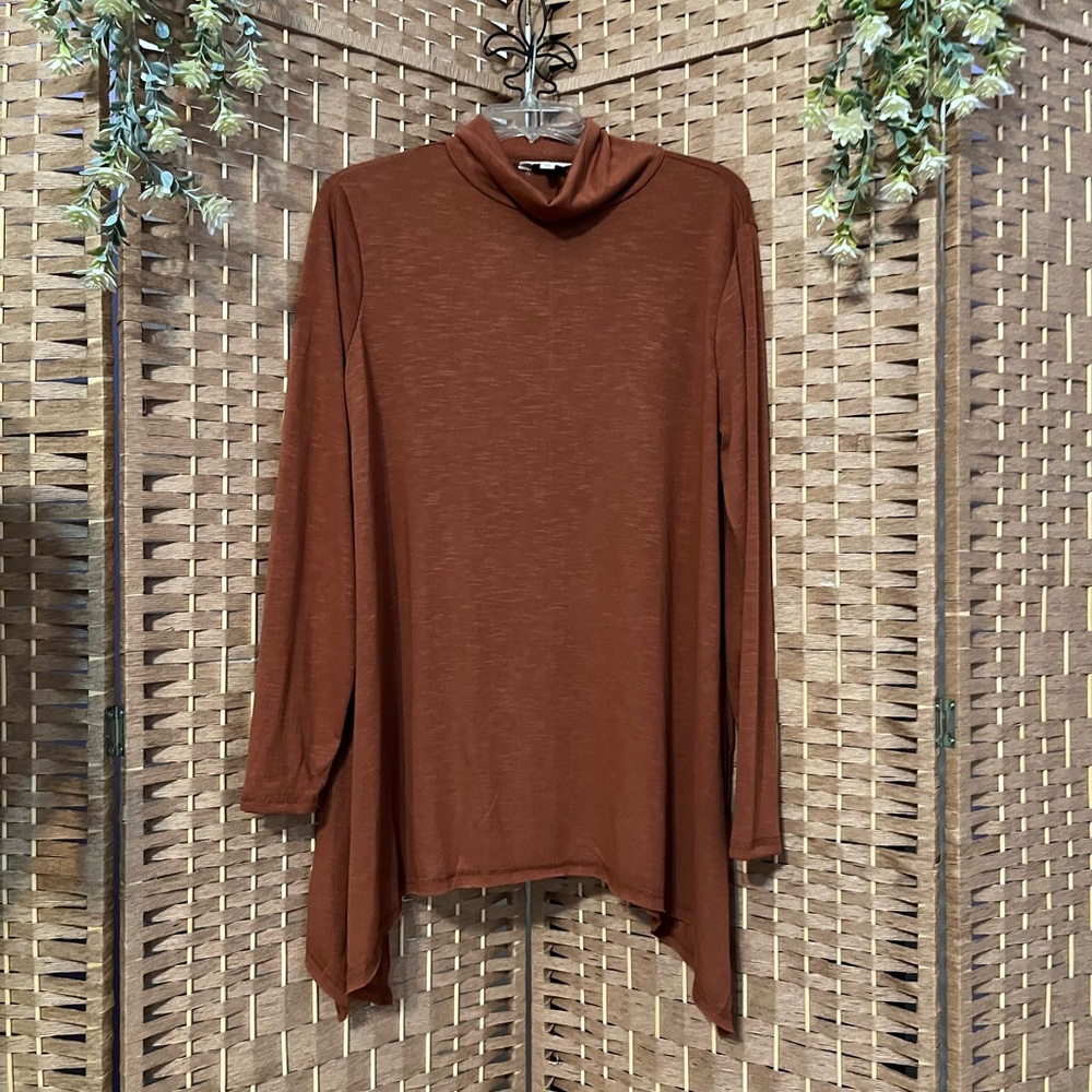 Tunic Turtleneck Top/Dress